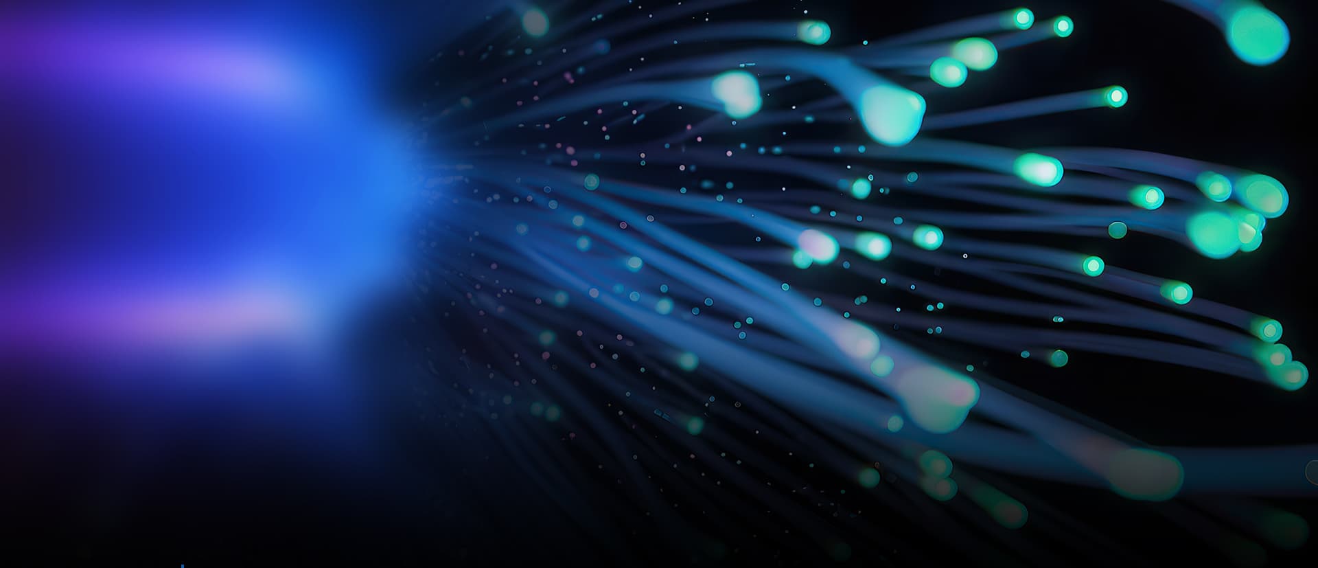 Interconnection, Freedom without Boundaries